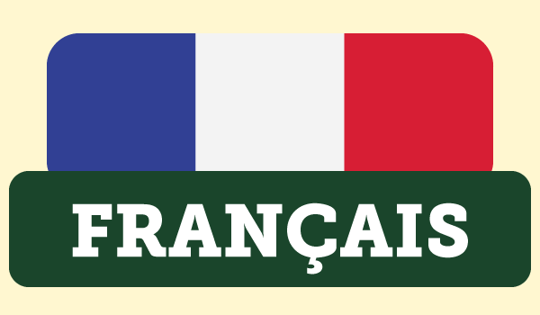 A button that says Francais with a French flag behind it