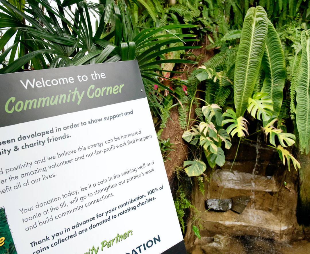 An image of the community corner in the Victoria Butterfly Garden where coins can be tossed into a wishing well to donate to VBG community programs. 