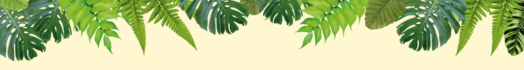 Illustrated foliage hanging down over a yellow background