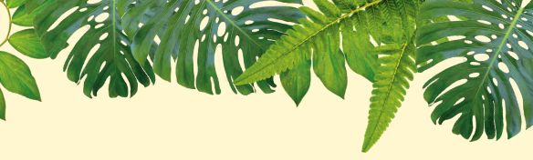 Illustrated foliage with butterflies flying around