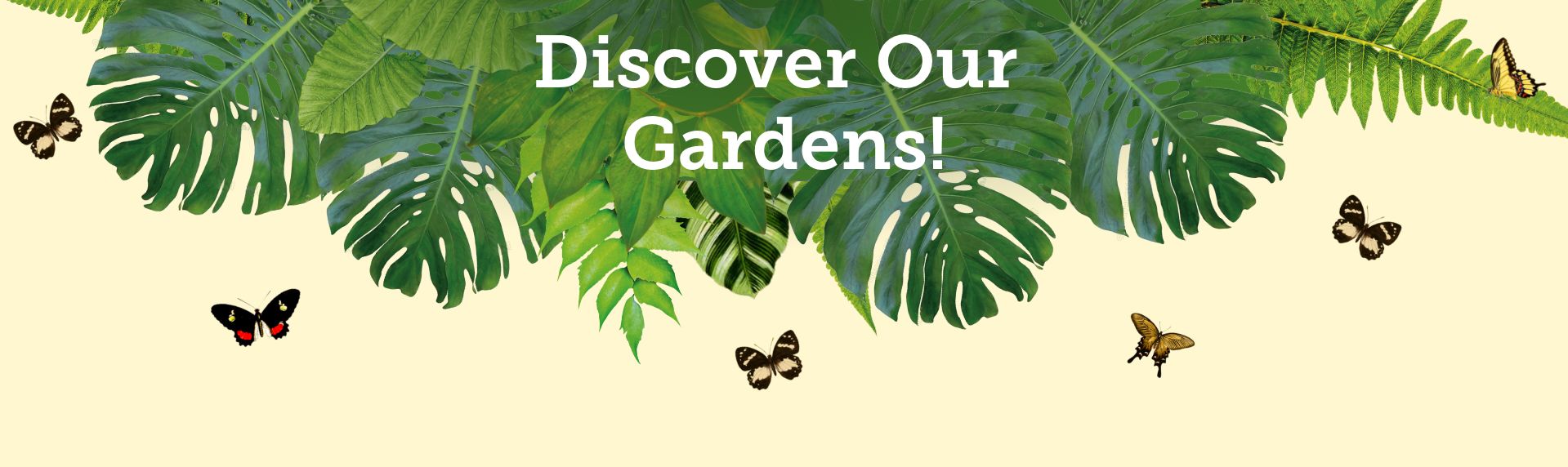 Illustrated foliage with butterflies flying around and the text, "Discover Our Gardens!"