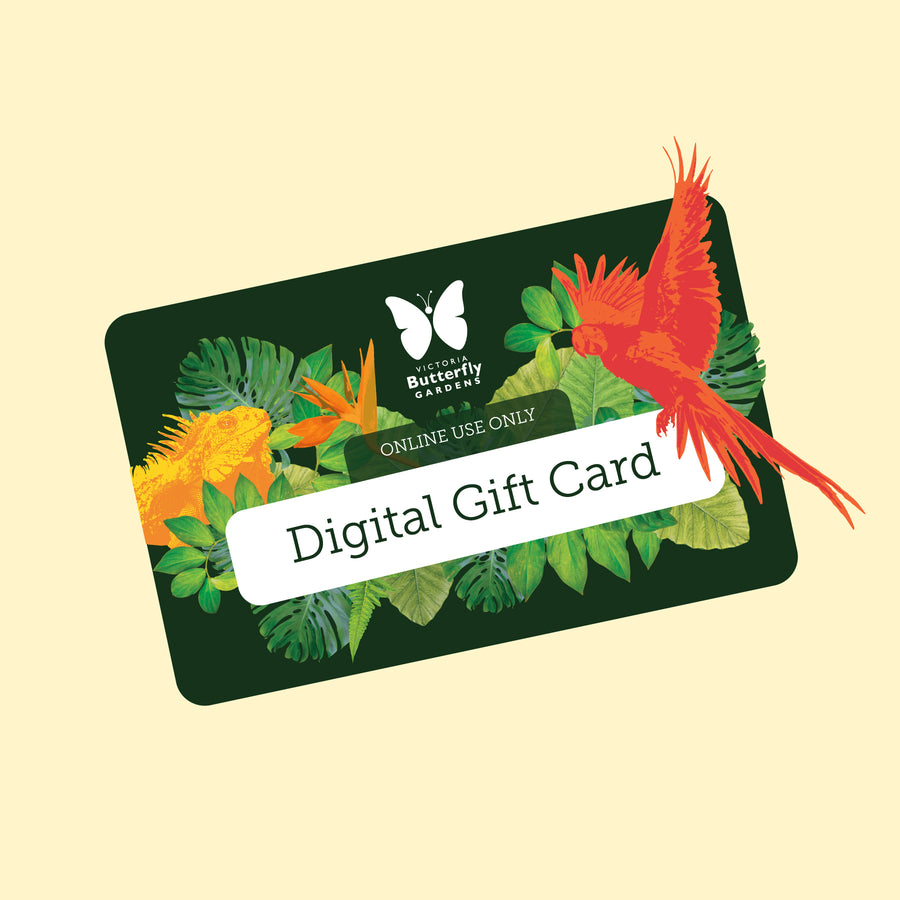 A graphic image of the Victoria Butterfly Gardens Digital Gift Card