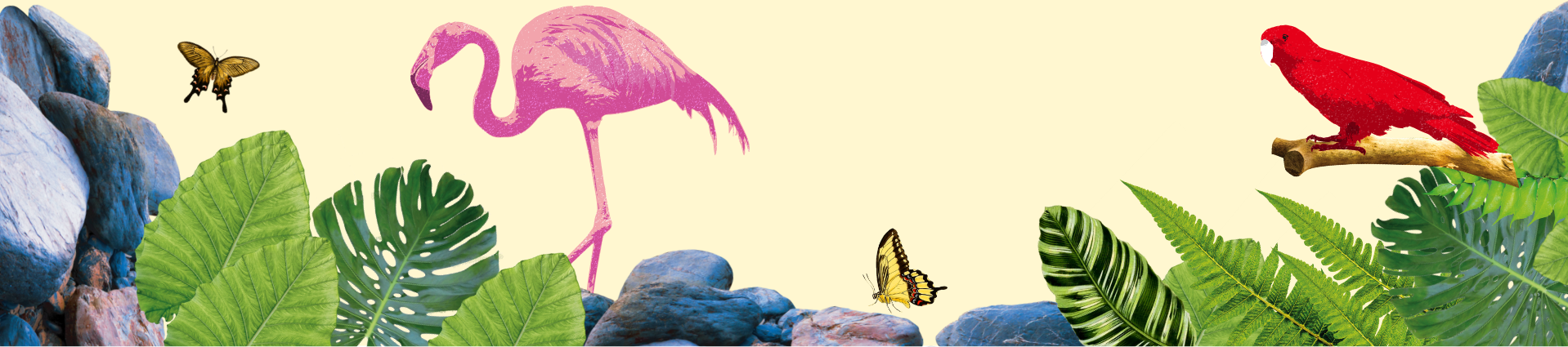 Illustrated tropical foliage and creatures, including parrots, flamingos, and butterflies.