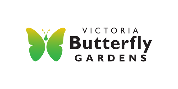 Horizontal Logo - Colour