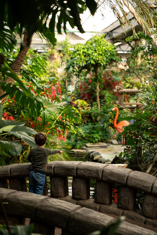 Gardens