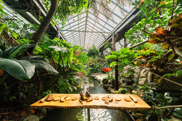 Gardens