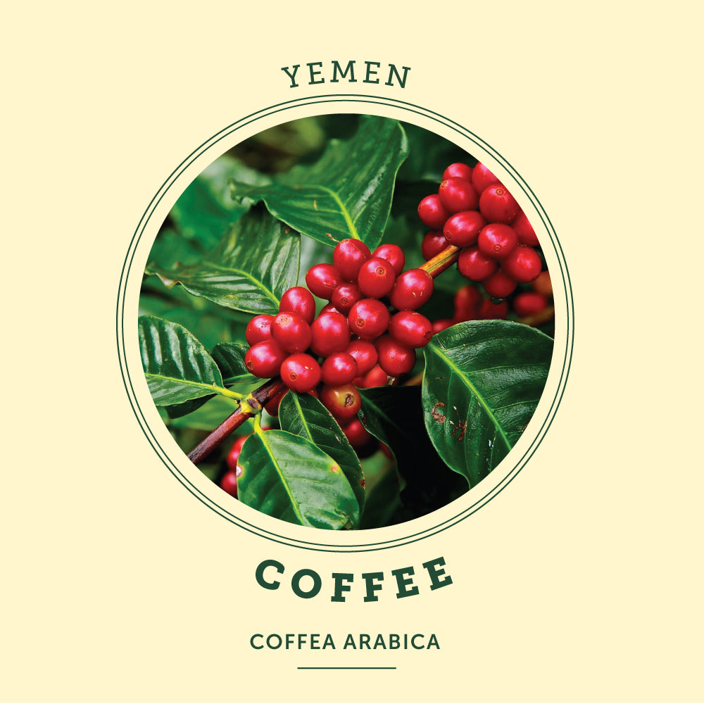 Coffee at the Victoria Butterfly Gardens