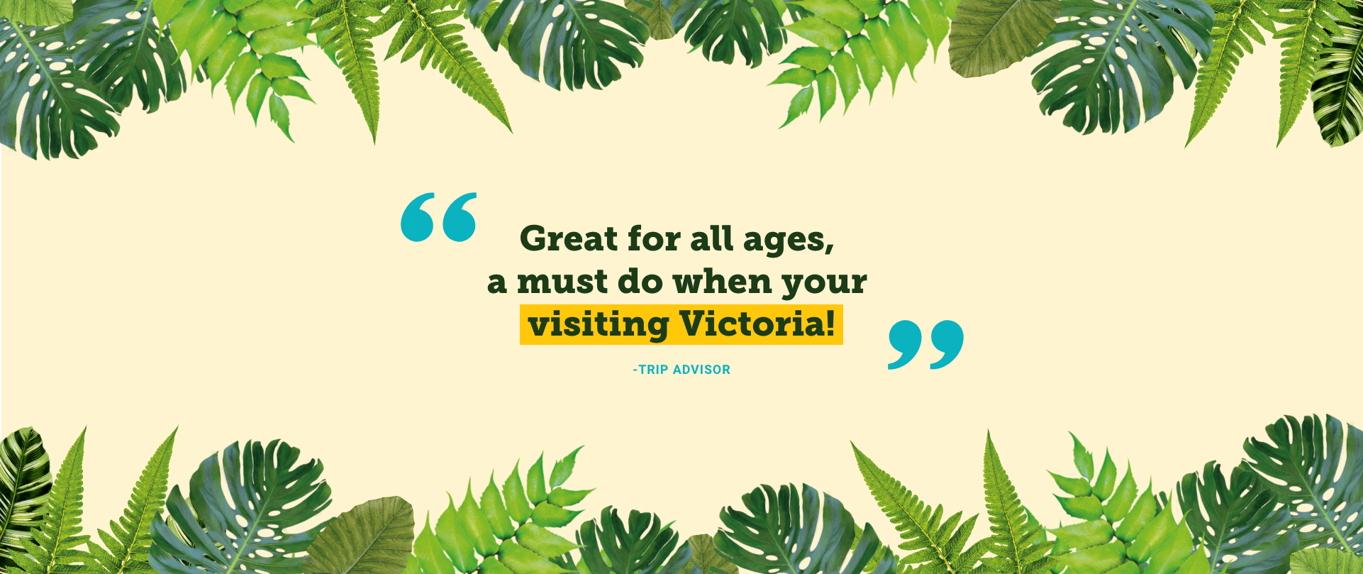 A testimonial quote from Trip Advisor that says "Great for all ages, a must do when you're visiting Victoria!"